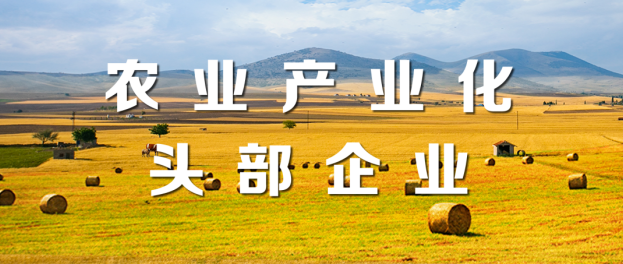 山东三星集团荣登“2021年度农业产业化头部企业100家”“植物油行业头部企业10家”榜单