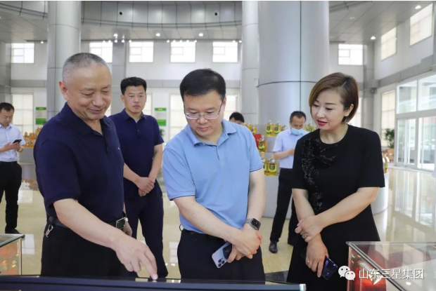 中小城市研究院领导来山东三星集团参观考察
