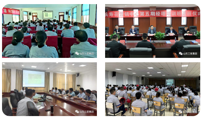 山东三星集团增强全员学习力 提升竞争软实力