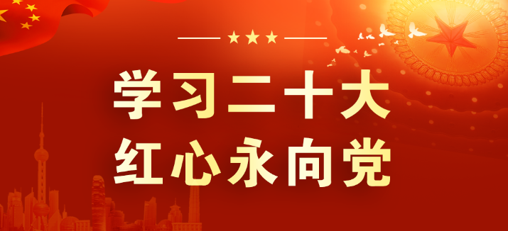 山东三星集团：学习领会二十大 征程踏新永前行
