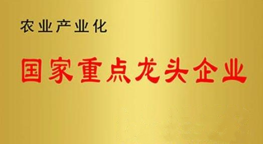 国家重点龙头企业！山东三星集团连续上榜