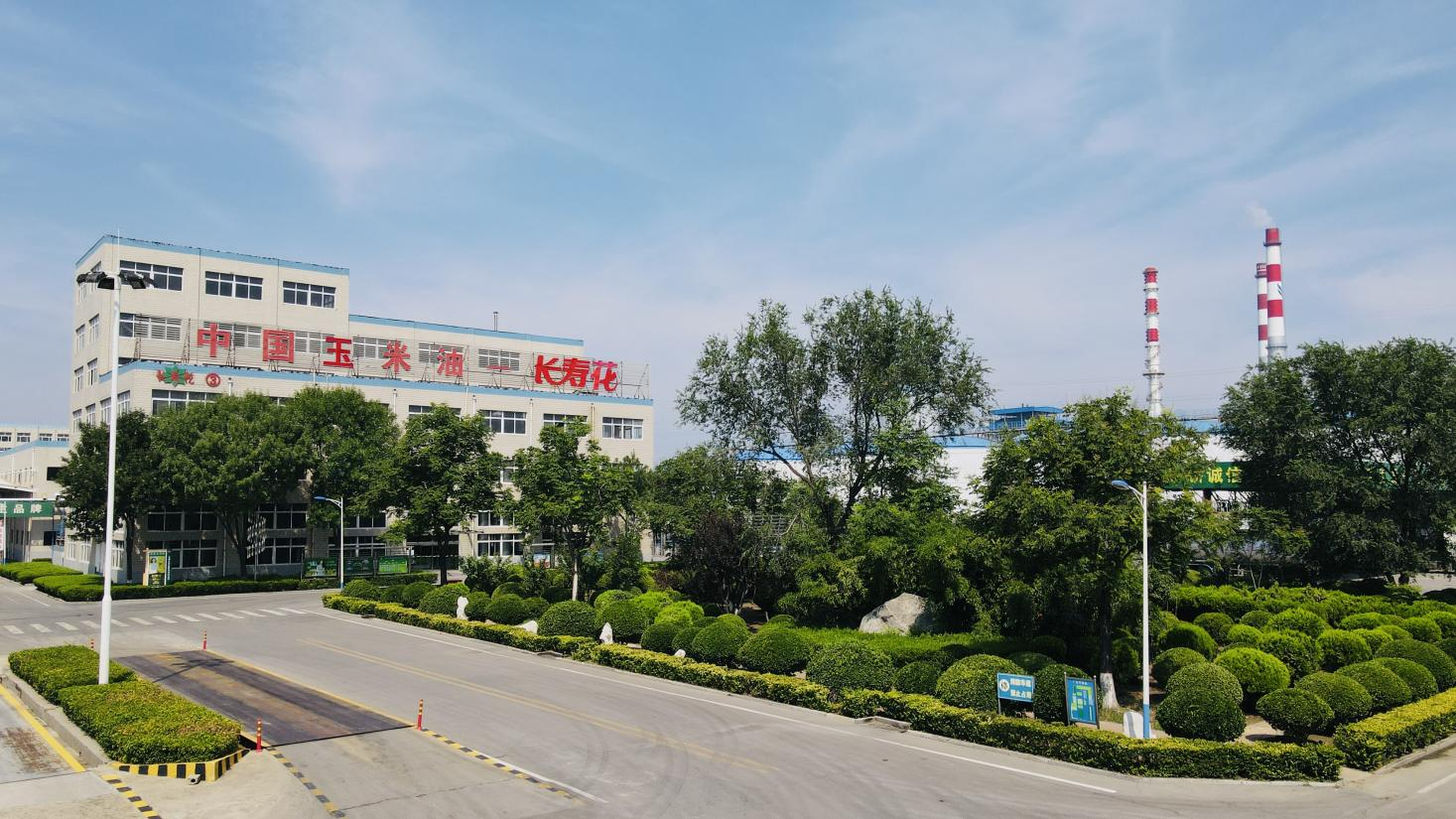 创新驱动 产权护航｜长寿花食品通过知识产权管理体系监督审核