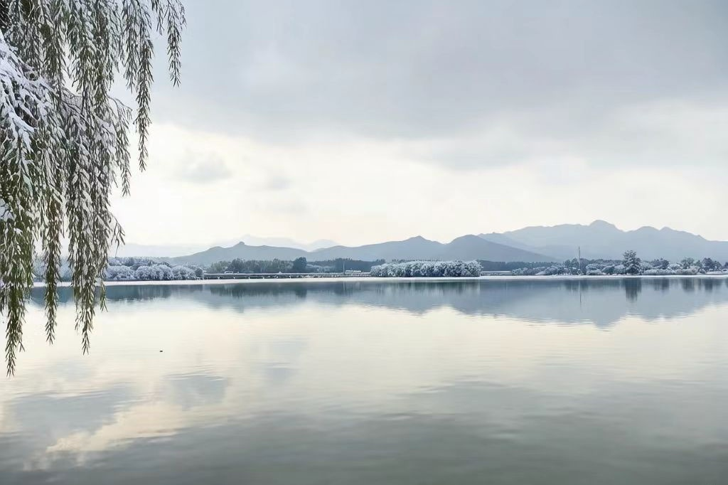 【文韵三星】风雪皆有伴