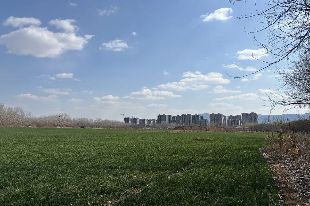 【文韵三星】春郊漫记