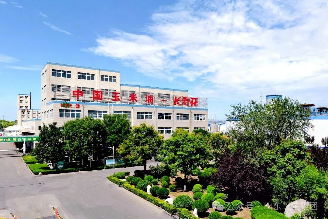 深耕知识产权建设 筑牢创新发展根基｜长寿花食品顺利通过知识产权管理体系监督审核